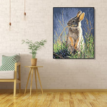 Load image into Gallery viewer, Cute Rabbit 40*50cm paint by numbers

