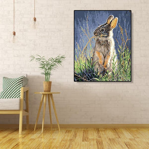 Cute Rabbit 40*50cm paint by numbers