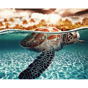 Sea Turtle 40*50cm paint by numbers