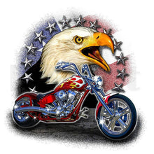 Load image into Gallery viewer, Motorcycle Eagle 30x30cm(canvas) full round drill diamond painting
