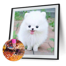 Load image into Gallery viewer, Cute White Dog 30x30cm(canvas) Full round drill diamond painting
