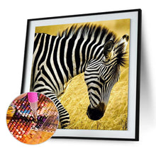 Load image into Gallery viewer, Walking Zebra 30x30cm(canvas) full round drill diamond painting
