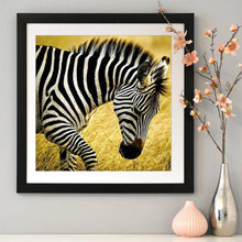 Load image into Gallery viewer, Walking Zebra 30x30cm(canvas) full round drill diamond painting
