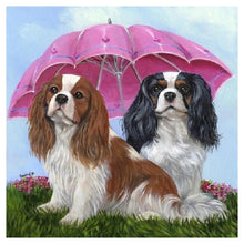 Load image into Gallery viewer, Umbrella Dogs Animal 40x40cm(canvas) full round drill diamond painting
