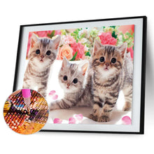 Load image into Gallery viewer, Three Kittens Animal 40x30cm(canvas) full round drill diamond painting
