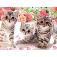 Load image into Gallery viewer, Three Kittens Animal 40x30cm(canvas) full round drill diamond painting
