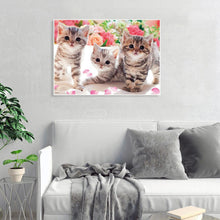 Load image into Gallery viewer, Three Kittens Animal 40x30cm(canvas) full round drill diamond painting
