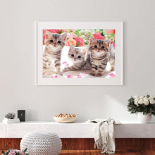 Load image into Gallery viewer, Three Kittens Animal 40x30cm(canvas) full round drill diamond painting
