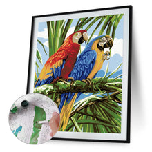 Load image into Gallery viewer, Two Parrots Animals 40*50cm paint by numbers
