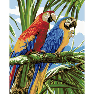 Two Parrots Animals 40*50cm paint by numbers