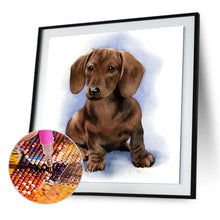Load image into Gallery viewer, Logy Dog 30x30cm(canvas) full round drill diamond painting

