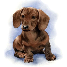 Load image into Gallery viewer, Logy Dog 30x30cm(canvas) full round drill diamond painting
