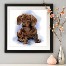 Load image into Gallery viewer, Logy Dog 30x30cm(canvas) full round drill diamond painting
