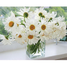 Load image into Gallery viewer, White Flowers 40*50cm paint by numbers
