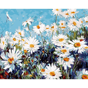 Flower Field 40*30cm paint by numbers