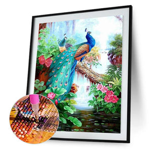 Lordly Peafowl B1536 30x40cm(canvas) full round drill diamond painting