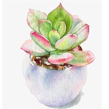 Load image into Gallery viewer, Succulent Plant 30x30cm(canvas) full round drill diamond painting
