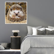 Load image into Gallery viewer, Animals Hedgehog 30x30cm(canvas) full round drill diamond painting
