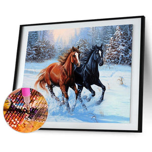 Horse Animal 50x40cm(canvas) full square drill diamond painting