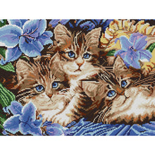 Load image into Gallery viewer, Cats 39x31cm(canvas) Printed canvas 14CT 2 Threads Cross stitch kits
