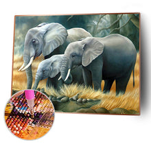 Load image into Gallery viewer, Animal 50x40cm(canvas) full square drill diamond painting
