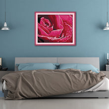 Load image into Gallery viewer, Dettol Rose 55x46cm(canvas) Printed canvas 14CT 2 Threads Cross stitch kits
