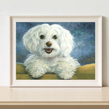 Load image into Gallery viewer, White Dog 40x30cm(canvas) full round drill diamond painting
