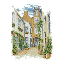 Load image into Gallery viewer, Street View 37x29cm(canvas) Printed canvas 14CT 2 Threads Cross stitch kits
