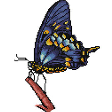 Load image into Gallery viewer, Picture Butterfly 30x23cm(canvas) Printed canvas 14CT 2 Threads Cross stitch kits
