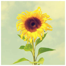 Load image into Gallery viewer, Positive Sunflower 30x30cm(canvas) full round drill diamond painting
