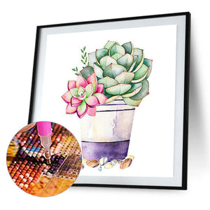 Succulent Plants 30x30cm(canvas) full round drill diamond painting