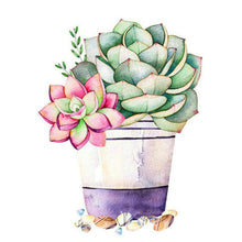Load image into Gallery viewer, Succulent Plants 30x30cm(canvas) full round drill diamond painting

