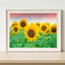 Load image into Gallery viewer, Sunflower 40x30cm(canvas) full round drill diamond painting
