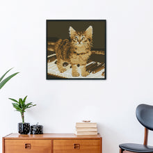 Load image into Gallery viewer, Piano Cat 22*22cm(canvas) 14CT 2 Threads Cross Stitch kit
