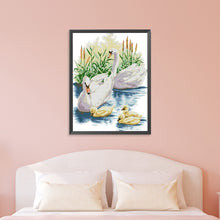 Load image into Gallery viewer, Swan Family 43*54cm(canvas) 14CT 2 Threads Cross Stitch kit
