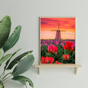 Windmill Tulips 30x40cm(canvas) full round drill diamond painting