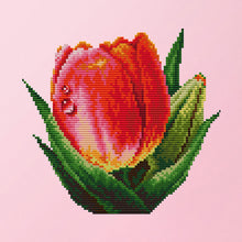 Load image into Gallery viewer, Red Tulips 14CT Stamped Cross Stitch Kit 21x20cm(canvas)
