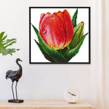 Load image into Gallery viewer, Red Tulips 14CT Stamped Cross Stitch Kit 21x20cm(canvas)
