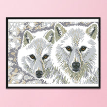 Load image into Gallery viewer, Wolf Brothers 14CT Stamped Cross Stitch Kit 41x30cm(canvas)
