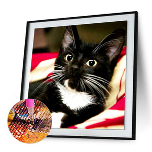 Long Whisker Black Cat 30x30cm(Canvas) full round drill diamond painting