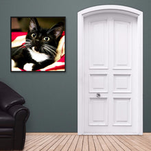 Load image into Gallery viewer, Long Whisker Black Cat 30x30cm(Canvas) full round drill diamond painting

