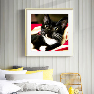 Long Whisker Black Cat 30x30cm(Canvas) full round drill diamond painting