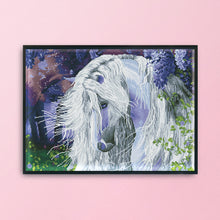 Load image into Gallery viewer, Horse 14CT Counted Cross Stitch Kit 40x50cm(canvas)
