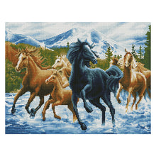 Load image into Gallery viewer, Horse 11CT Stamped Cross Stitch Kit 50x40cm(canvas)
