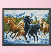 Load image into Gallery viewer, Horse 11CT Stamped Cross Stitch Kit 50x40cm(canvas)
