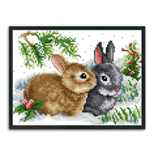 Load image into Gallery viewer, Rabbit 11CT Stamped Cross Stitch Kit 33x24cm(canvas)
