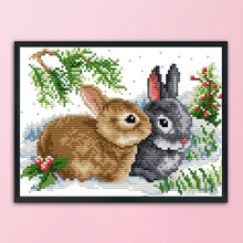 Load image into Gallery viewer, Rabbit 11CT Stamped Cross Stitch Kit 33x24cm(canvas)
