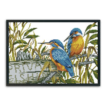 Load image into Gallery viewer, Kingfisher 11CT Stamped Cross Stitch Kit 46x35cm(canvas)
