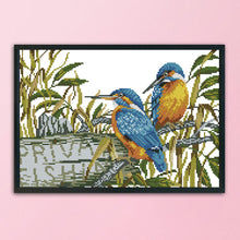 Load image into Gallery viewer, Kingfisher 11CT Stamped Cross Stitch Kit 46x35cm(canvas)
