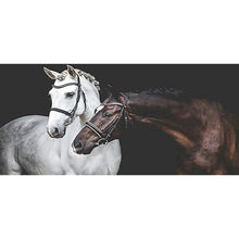 Load image into Gallery viewer, Two Horses 100x50cm(canvas) Full Round Drill Diamond Painting
